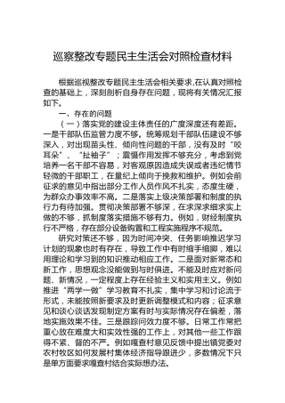 巡察整改专题民主生活会对照检查材料-2