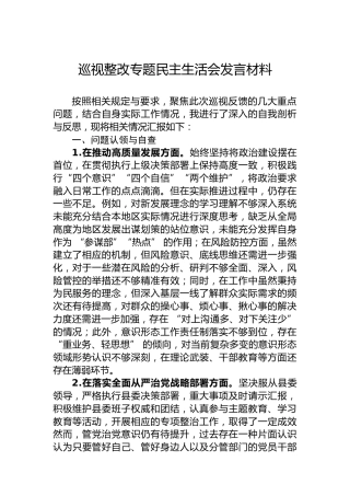 巡视整改专题民主生活会发言材料