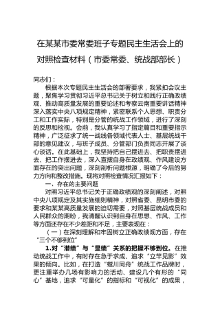 在某某市委常委班子专题民主生活会上的对照检查材料（市委常委、统战部部长）