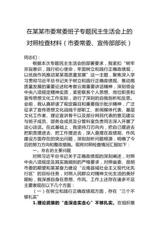 在某某市委常委班子专题民主生活会上的对照检查材料（市委常委、宣传部部长）