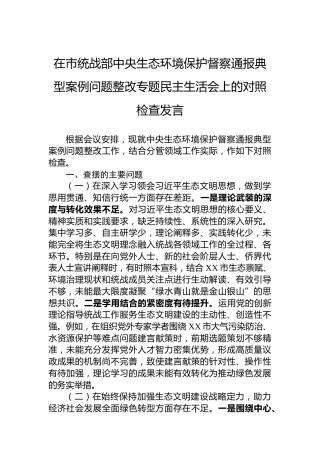 在市统战部中央生态环境保护督察通报典型案例问题整改专题民主生活会上的对照检查发言