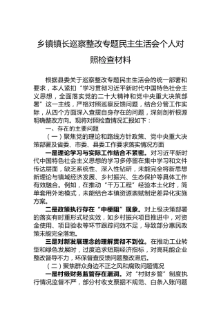 乡镇镇长巡察整改专题民主生活会个人对照检查材料