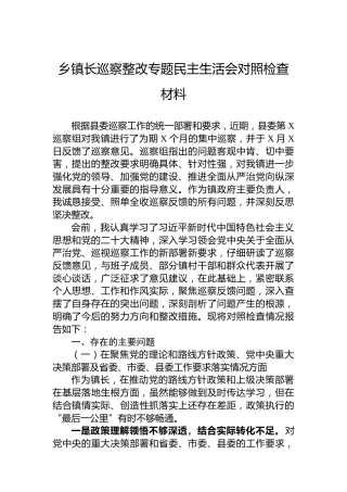 乡镇长巡察整改专题民主生活会对照检查材料