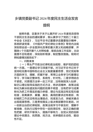 乡镇党委副书记2024年度民主生活会发言提纲