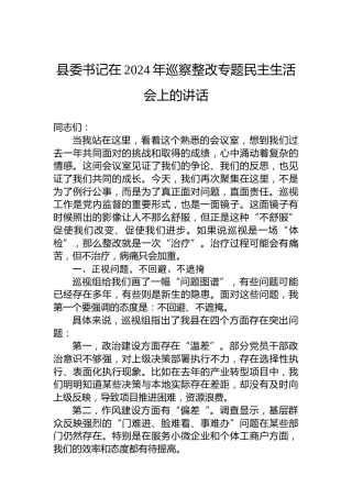 县委书记在2024年巡察整改专题民主生活会上的讲话