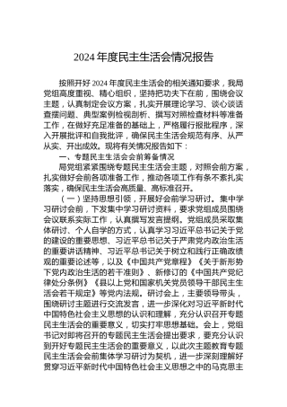 2024年度民主生活会情况报告