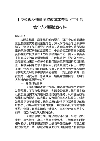 中央巡视反馈意见整改落实专题民主生活会个人对照检查材料
