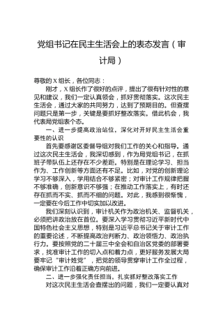 党组书记在民主生活会上的表态发言（审计局）