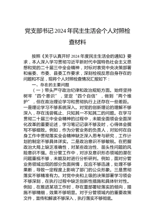 党支部书记2024年民主生活会个人对照检查材料