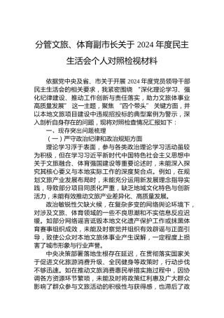 分管文旅、体育副市长关于 2024 年度民主生活会个人对照检视材料
