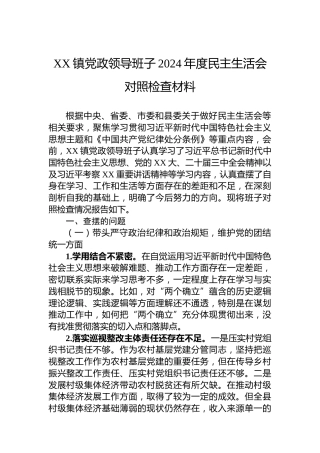 XX镇党政领导班子2024年度民主生活会对照检查材料