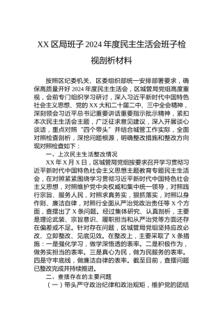 XX区局班子2024年度民主生活会班子检视剖析材料