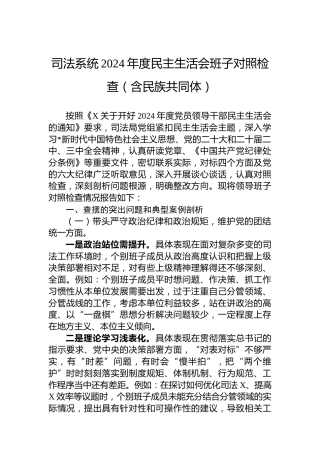 司法系统2024年度民主生活会班子对照检查（含民族共同体）