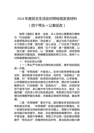 2024年度民主生活会对照检视发言材料