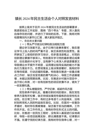镇长2024年民主生活会个人对照发言材料