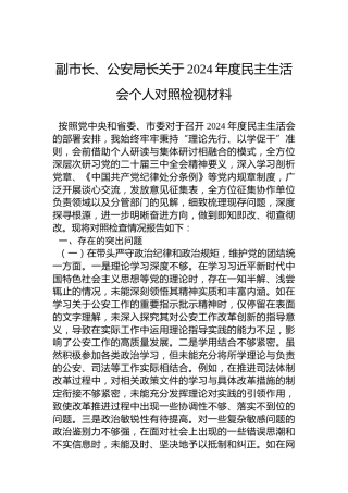 副市长、公安局长关于2024年度民主生活会个人对照检视材料
