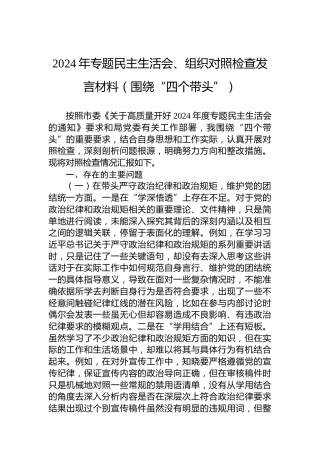 2024年专题民主生活会、组织对照检查发言材料