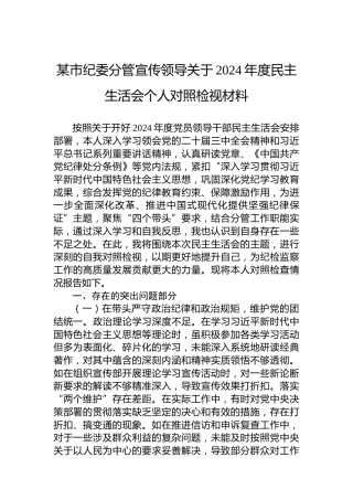 某市纪委分管宣传领导关于2024年度民主生活会个人对照检视材料