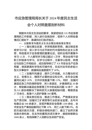 市应急管理局局长关于2024年度民主生活会个人对照查摆剖析材料