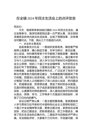 在全镇2024年民主生活会上的点评发言