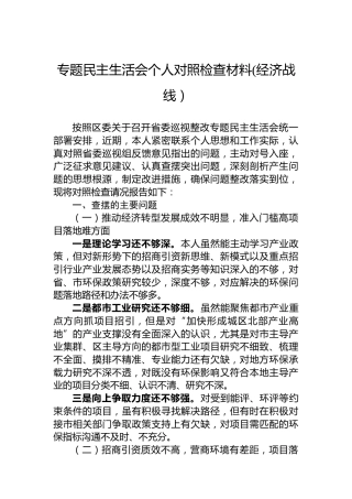 专题民主生活会个人对照检查材料(经济战线）