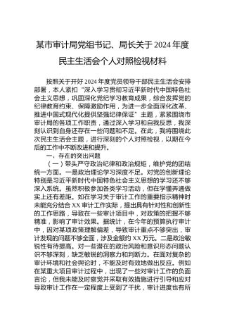 某市审计局党组书记、局长关于2024年度民主生活会个人对照检视材料
