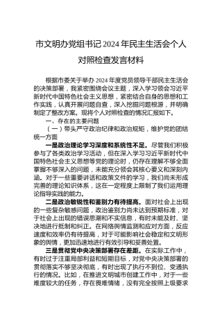 市文明办党组书记2024年民主生活会个人对照检查发言材料