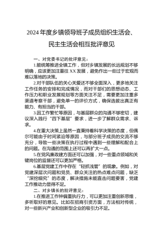 2024年度乡镇领导班子成员组织生活会、民主生活会相互批评意见