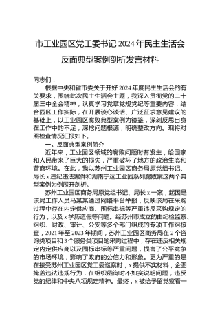 市工业园区党工委书记2024年民主生活会反面典型案例剖析发言材料