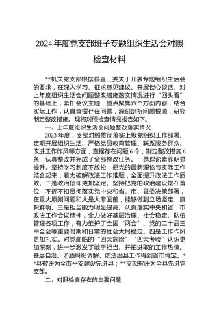 2024年度党支部班子专题组织生活会对照检查材料