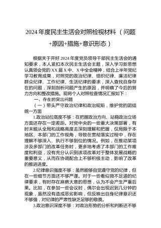 2024年度民主生活会对照检视材料 （问题 原因 措施 意识形态）