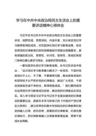 学习在中共中央政治局民主生活会上的重要讲话精神心得体会