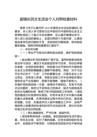 副镇长民主生活会个人对照检查材料