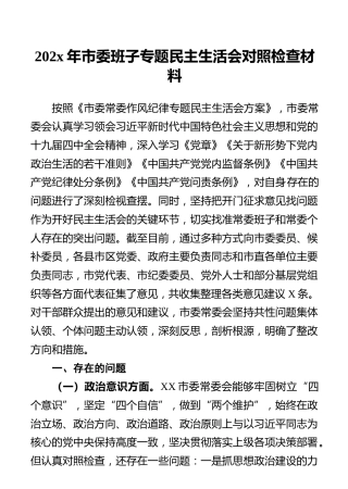 202x年市委班子专题民主生活会对照检查材料