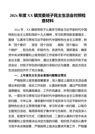 202x年度XX镇党委班子民主生活会对照检查材料