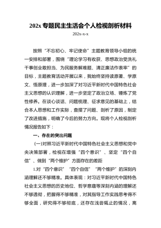 202x专题民主生活会个人检视剖析材料