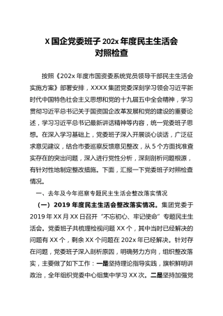 国企党委班子202x年度民主生活会对照检查