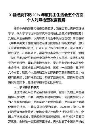 X县纪委书记202x年度民主生活会五个方面个人对照检查发言提纲