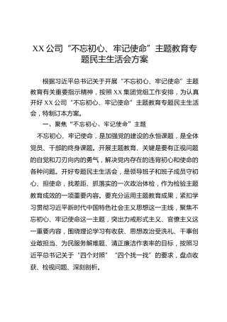 公司不忘初心牢记使命主题教育专题民主生活会方案