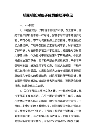 镇副镇长对班子成员的批评意见