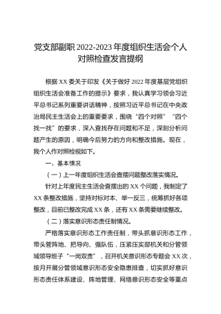 党支部副职2022-2023年度组织生活会个人对照检查发言提纲