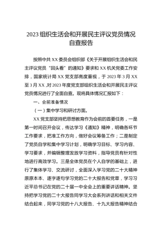 2023年组织生活会和开展民主评议党员情况自查报告