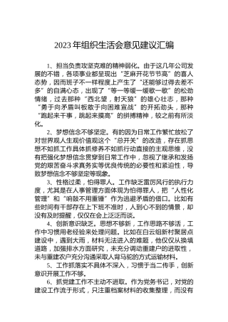 2023年组织生活会意见建议汇编