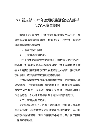 XX党支部2022年度组织生活会党支部书记个人发言提纲