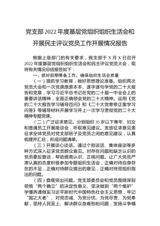 党支部2022年度基层党组织组织生活会和开展民主评议党员工作开展情况报告