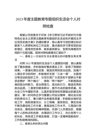2023年度主题教育专题组织生活会个人对照检查