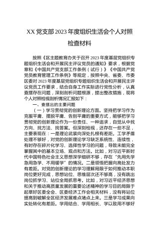 XX党支部2023年度组织生活会个人对照检查材料