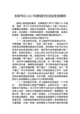 支部书记2022年度组织生活会发言提纲