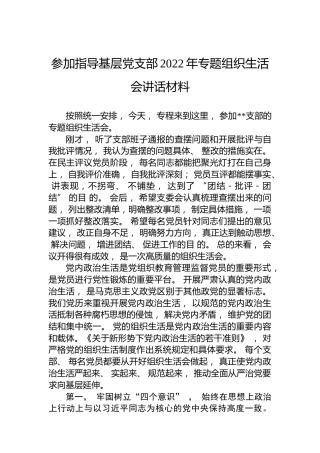 参加指导基层党支部2022年专题组织生活会讲话材料
