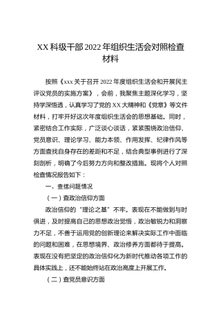 XX科级干部2022年组织生活会对照检查材料
